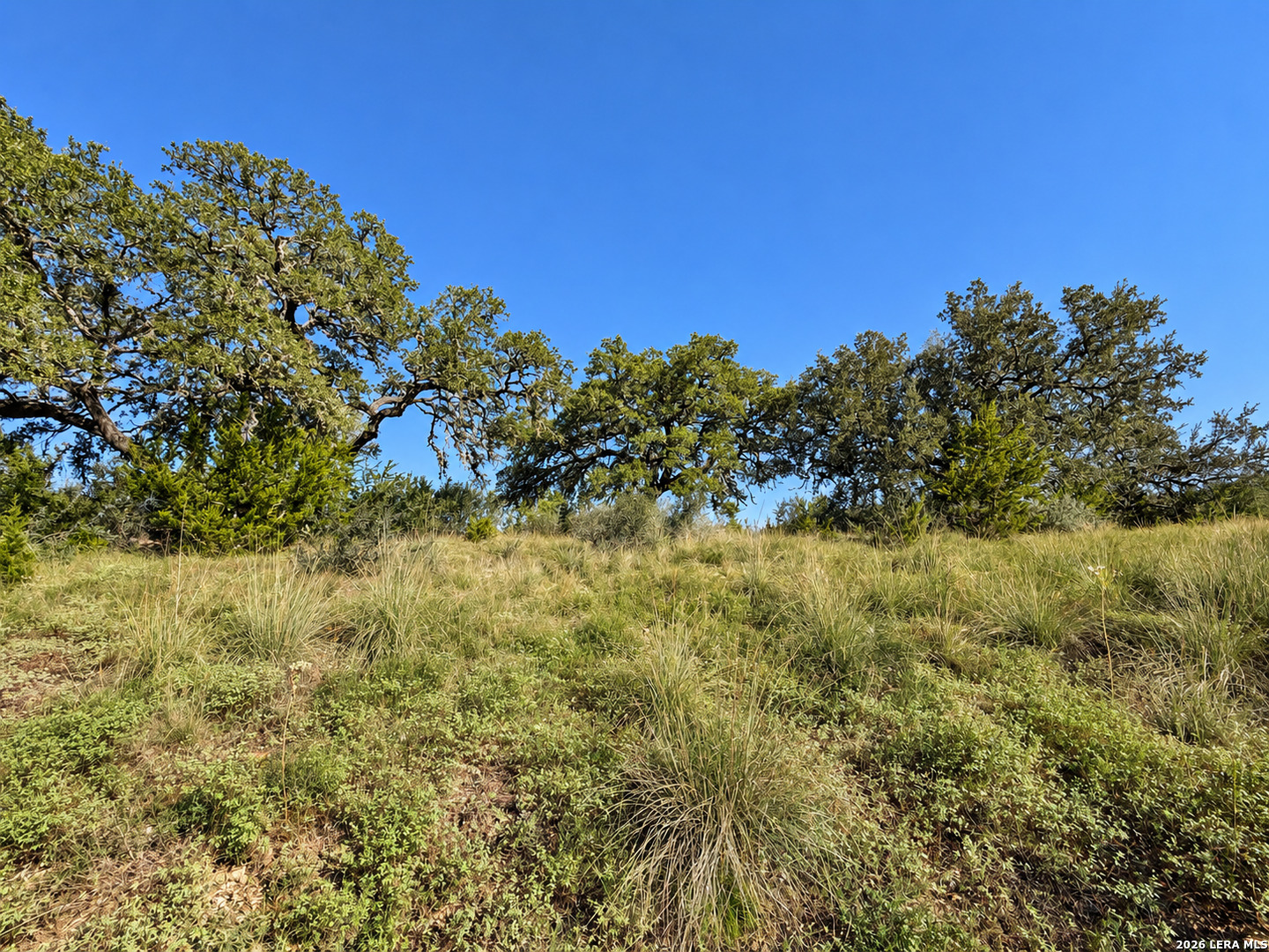 Photo 3 of Land for sale at Lot 32 Lariat Tr, Bandera, TX 78003 | MLS# 2021864 | Listing updated on 2026-10-07