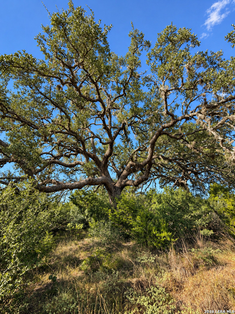 Photo 4 of Land for sale at Lot 32 Lariat Tr, Bandera, TX 78003 | MLS# 2021864 | Listing updated on 2026-10-07