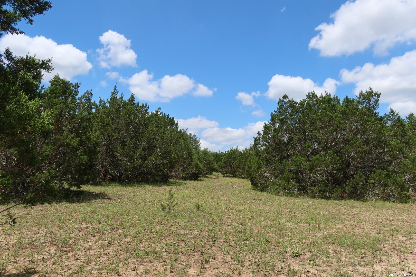 TBD 50 ACRES Rodeo Rd, Bandera, TX 78003