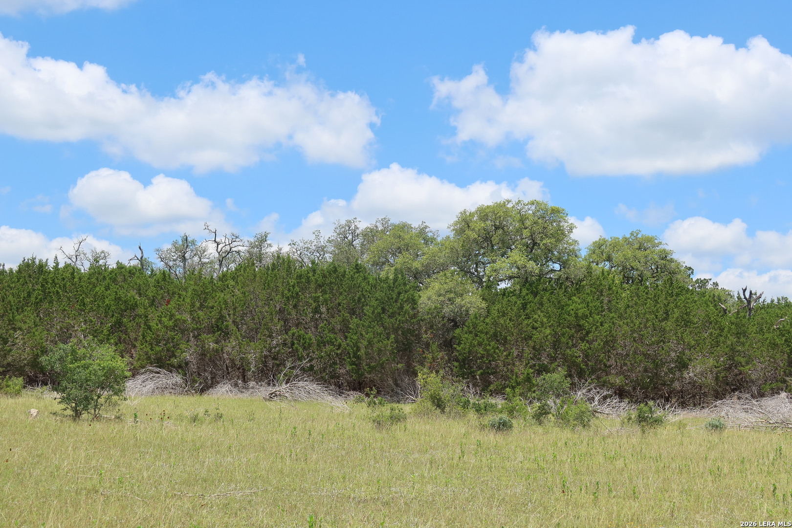 TBD 50 ACRES Rodeo Rd, Bandera, TX 78003