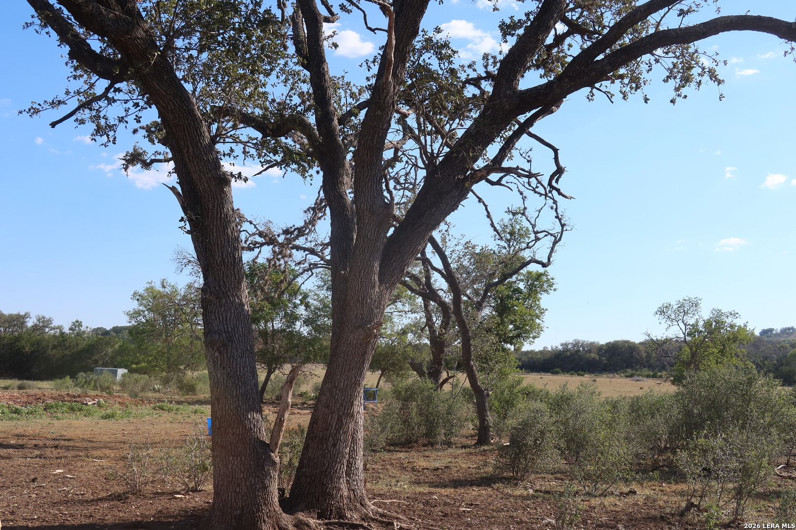 TBD 50 ACRES Rodeo Rd, Bandera, TX 78003