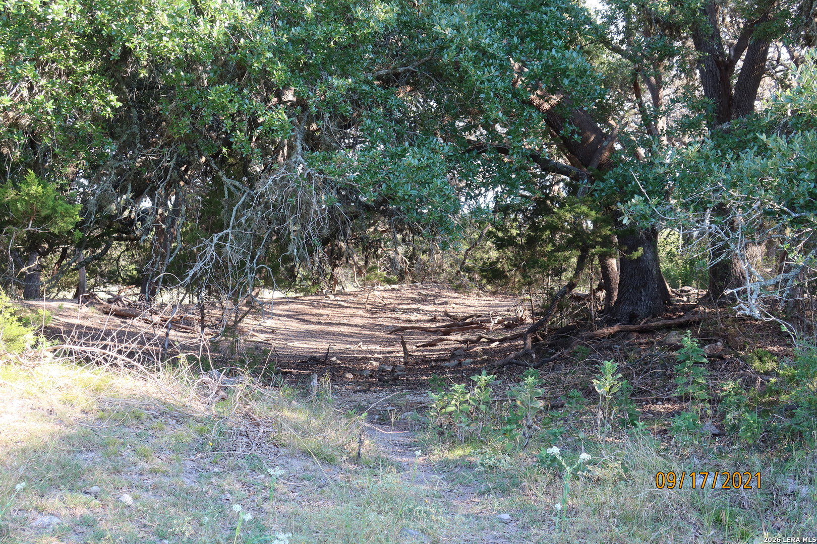TBD 50 ACRES Rodeo Rd, Bandera, TX 78003