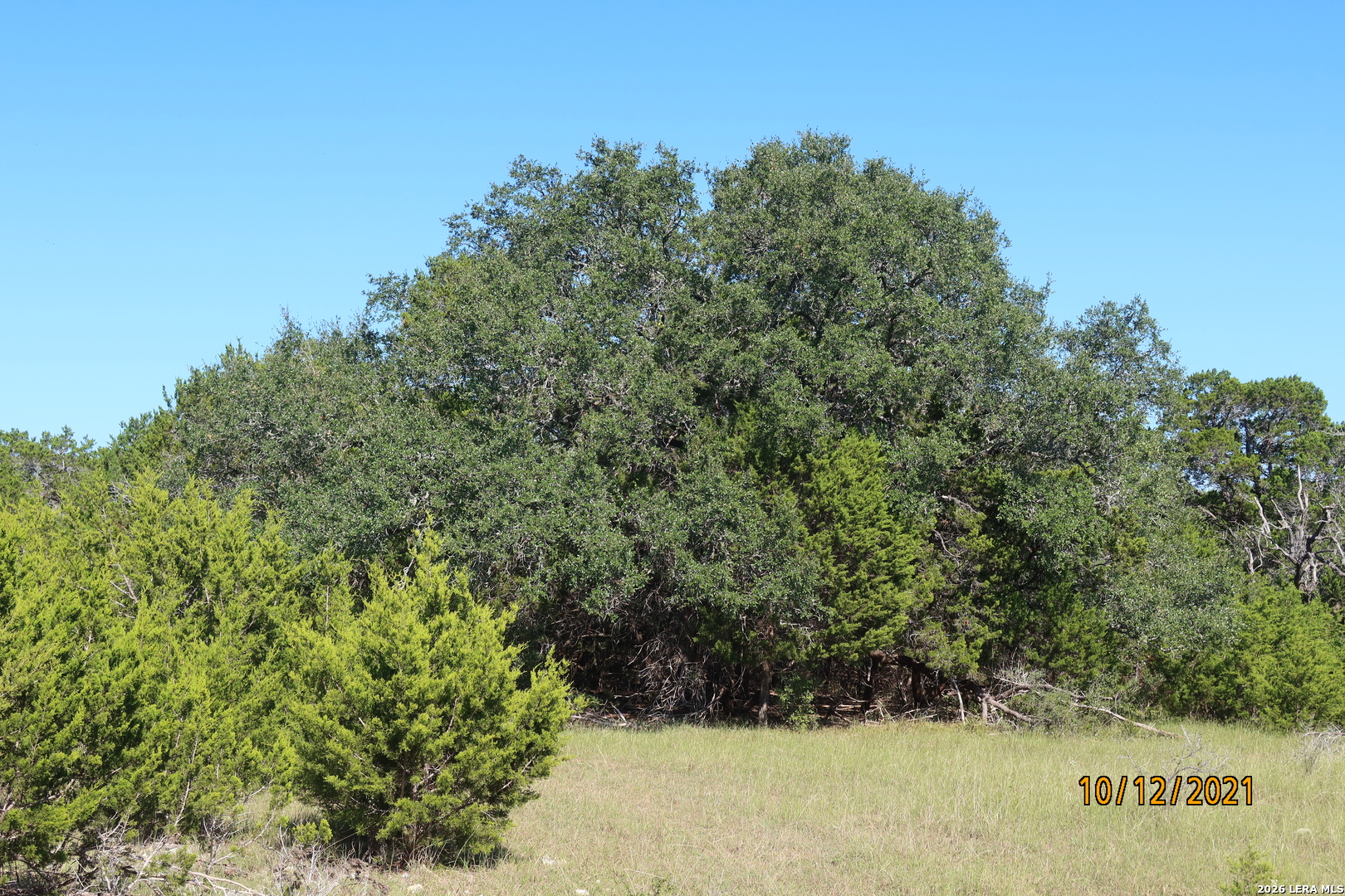 TBD 50 ACRES Rodeo Rd, Bandera, TX 78003