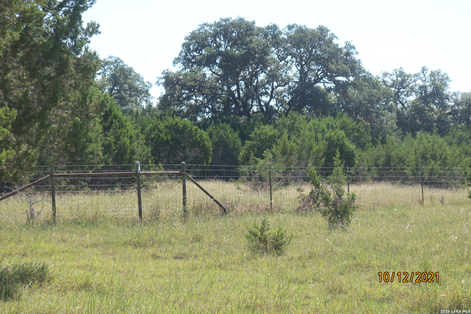 TBD 50 ACRES Rodeo Rd, Bandera, TX 78003