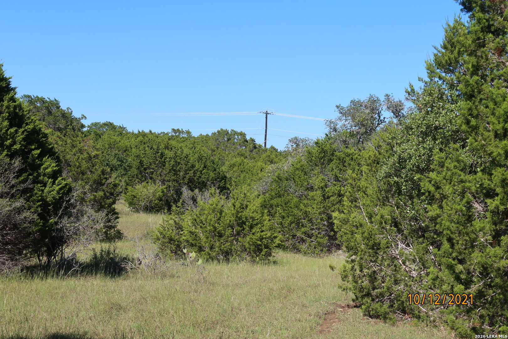 TBD 50 ACRES Rodeo Rd, Bandera, TX 78003