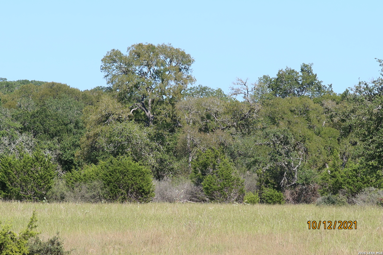 Land for sale at Tbd 50 Acres Rodeo Rd, Bandera, TX 78003 | MLS# 2021899
