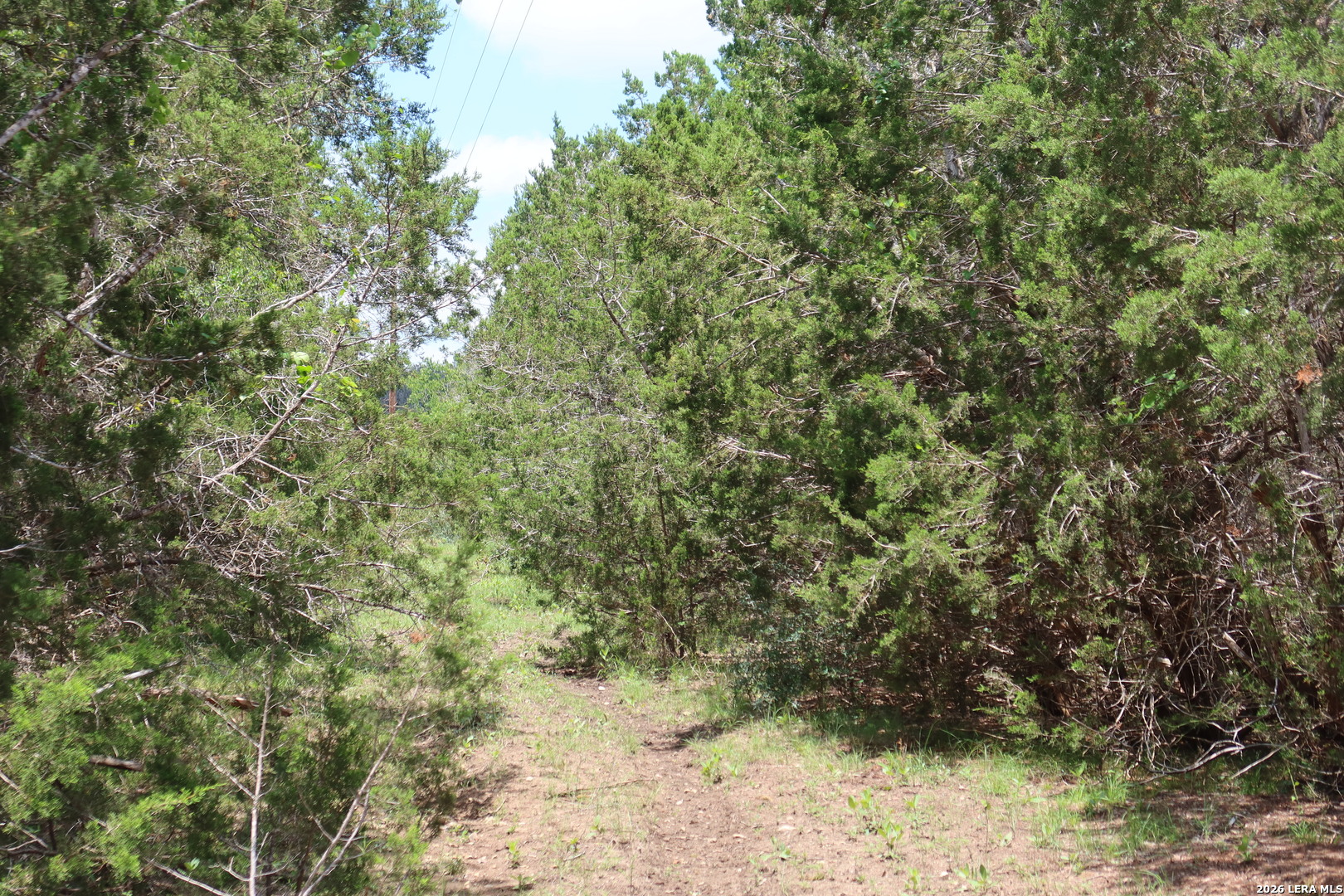 TBD 50 ACRES Rodeo Rd, Bandera, TX 78003