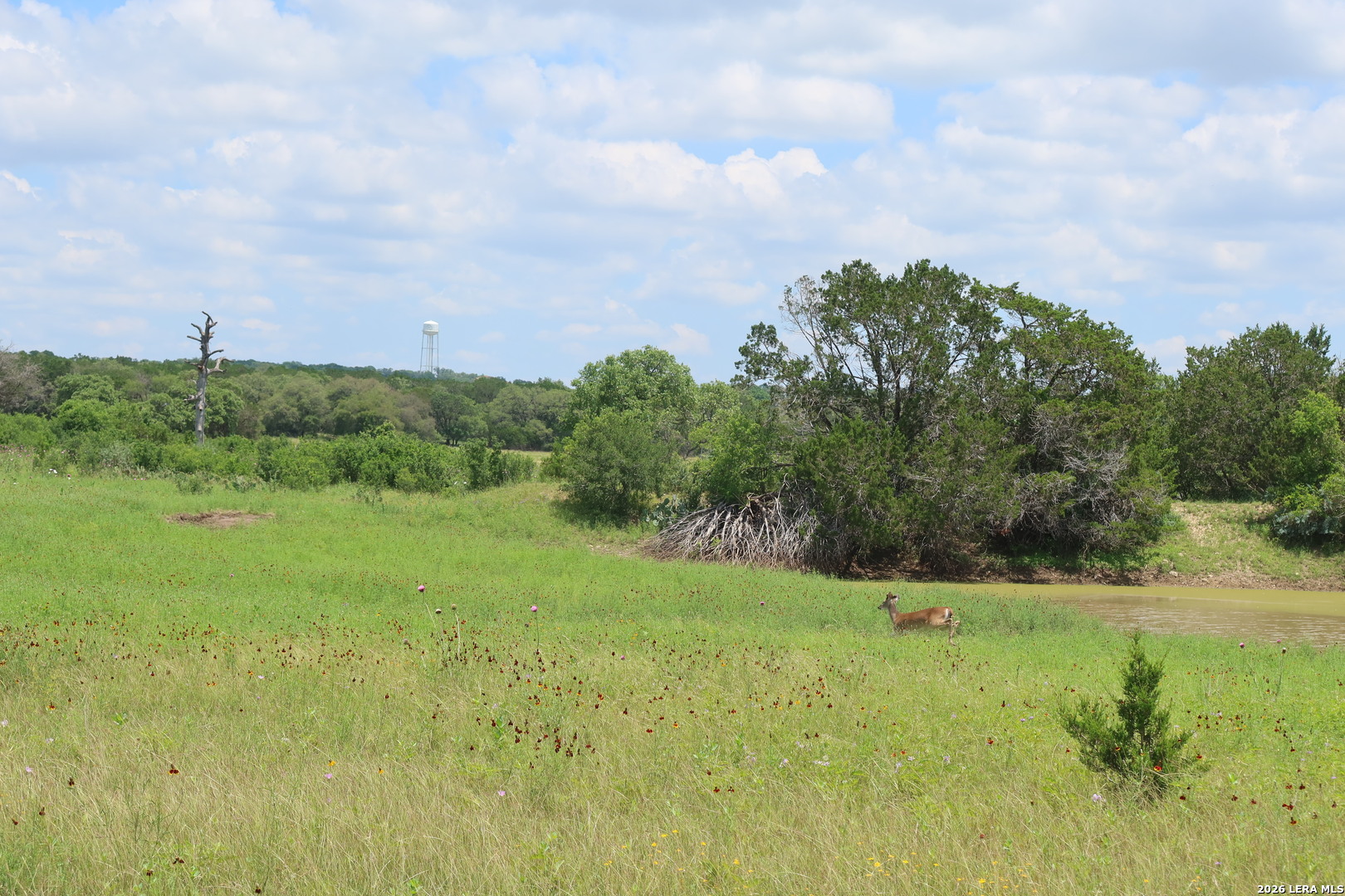 TBD 50 ACRES Rodeo Rd, Bandera, TX 78003