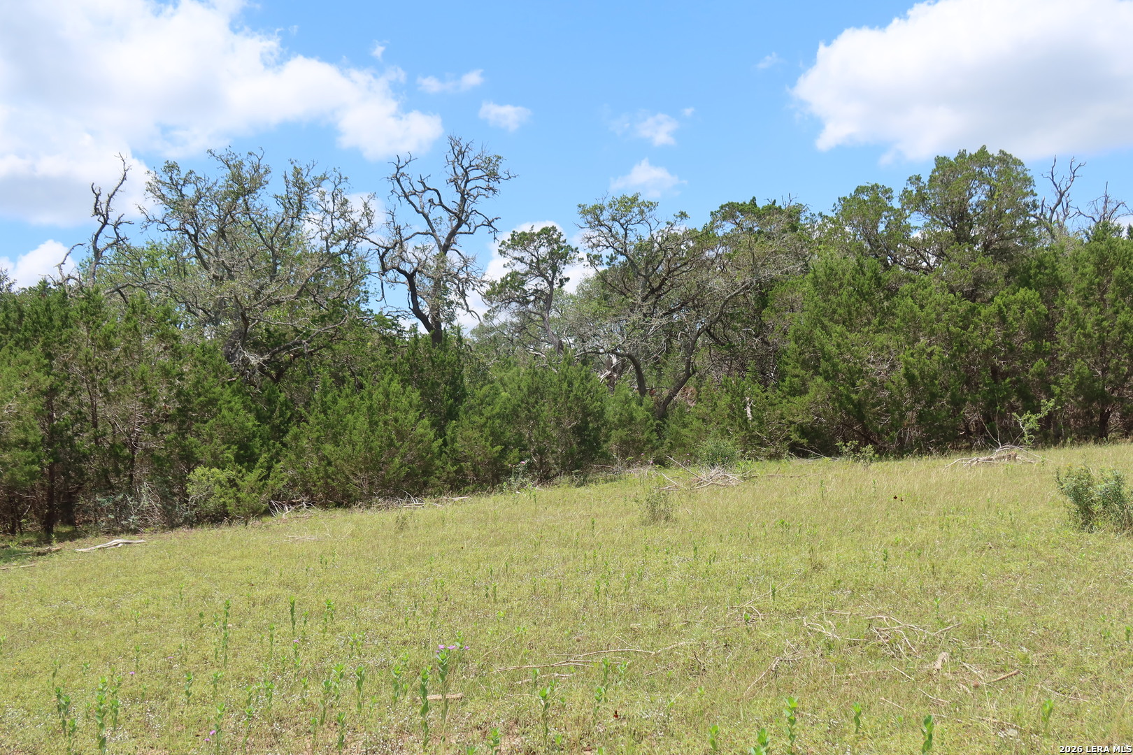 TBD 50 ACRES Rodeo Rd, Bandera, TX 78003