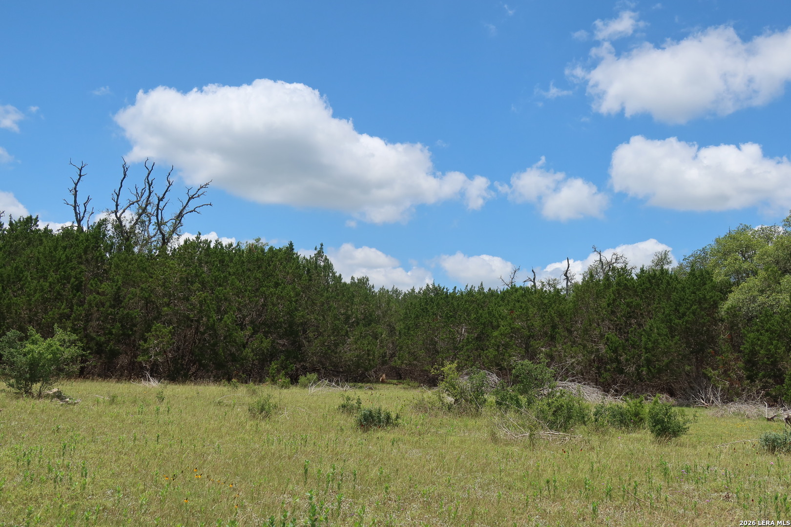 TBD 50 ACRES Rodeo Rd, Bandera, TX 78003