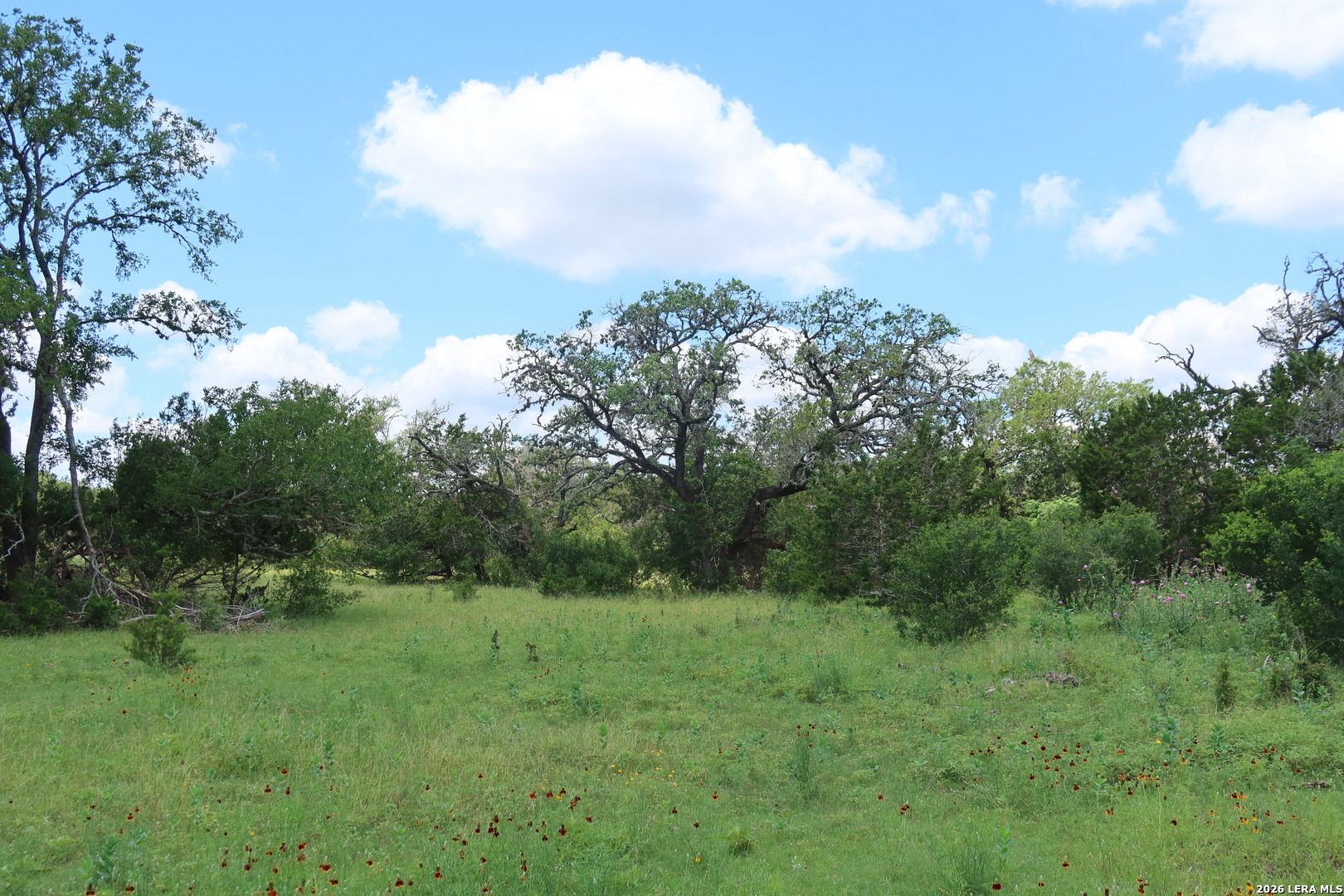 TBD 50 ACRES Rodeo Rd, Bandera, TX 78003