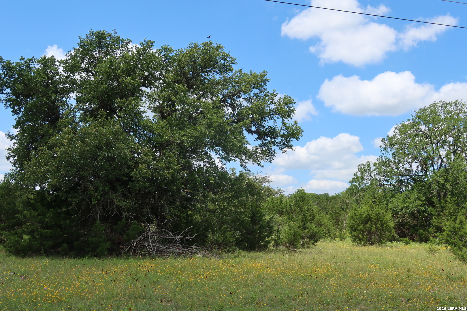TBD 50 ACRES Rodeo Rd, Bandera, TX 78003