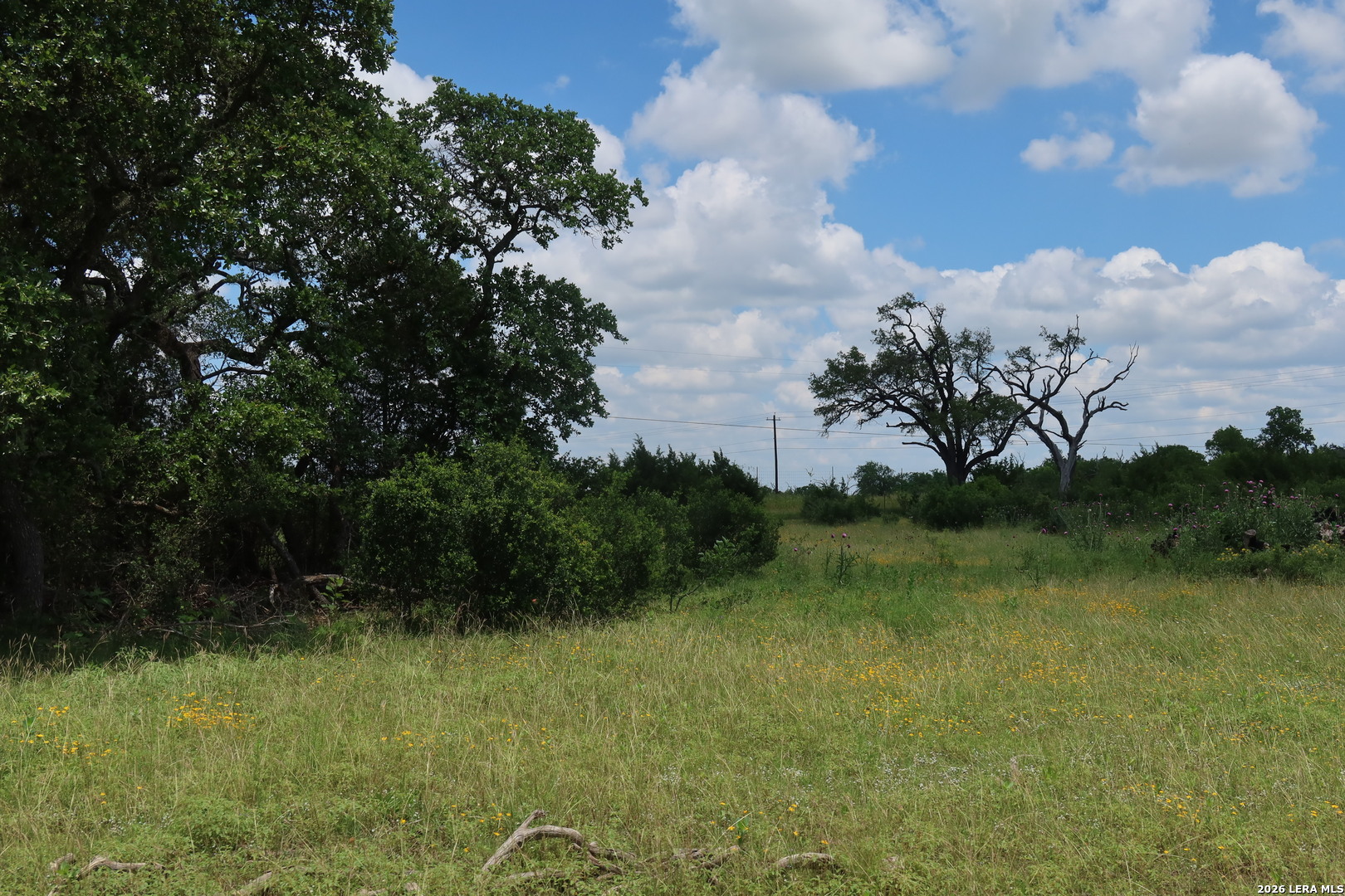 TBD 50 ACRES Rodeo Rd, Bandera, TX 78003