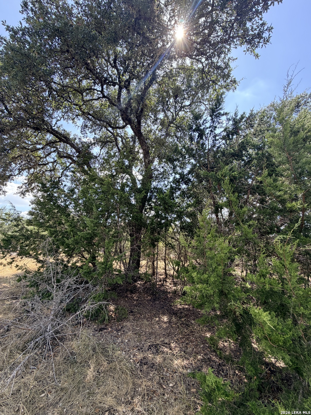 463 Lantana Mesa, Spring Branch, TX 78070