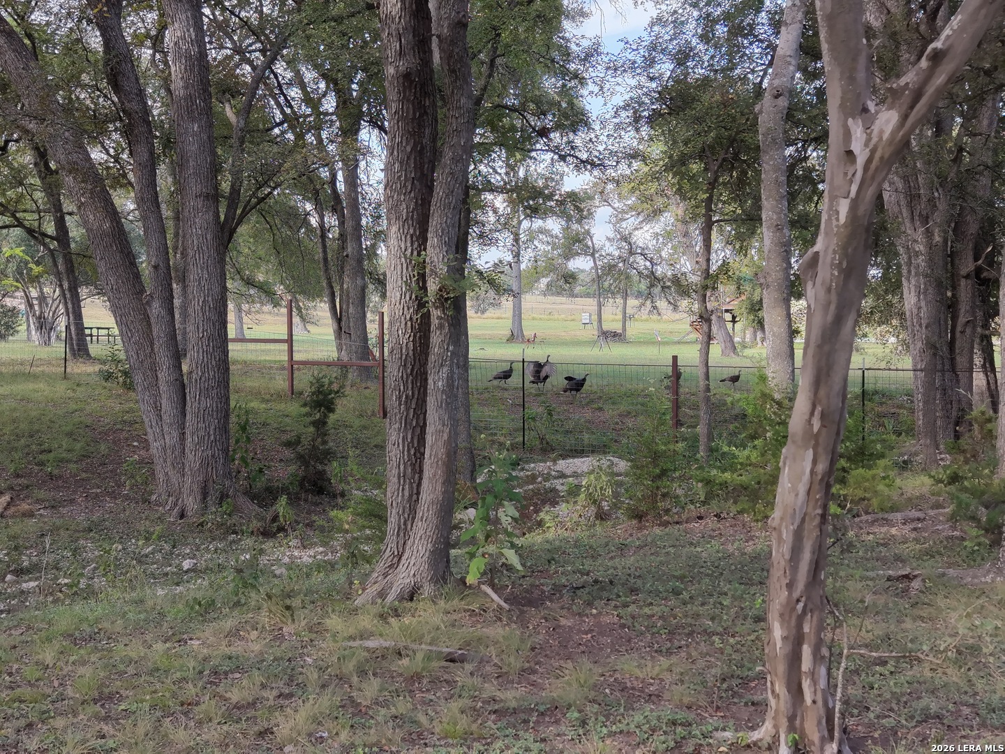 21 THUNDER VALLEY RD, Boerne, TX 78006