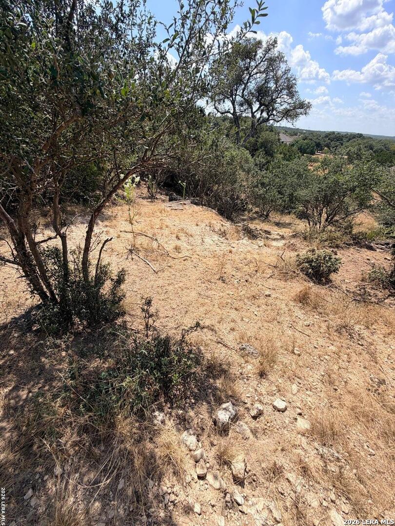 Property photo for 463 Lantana Mesa, Spring Branch, TX