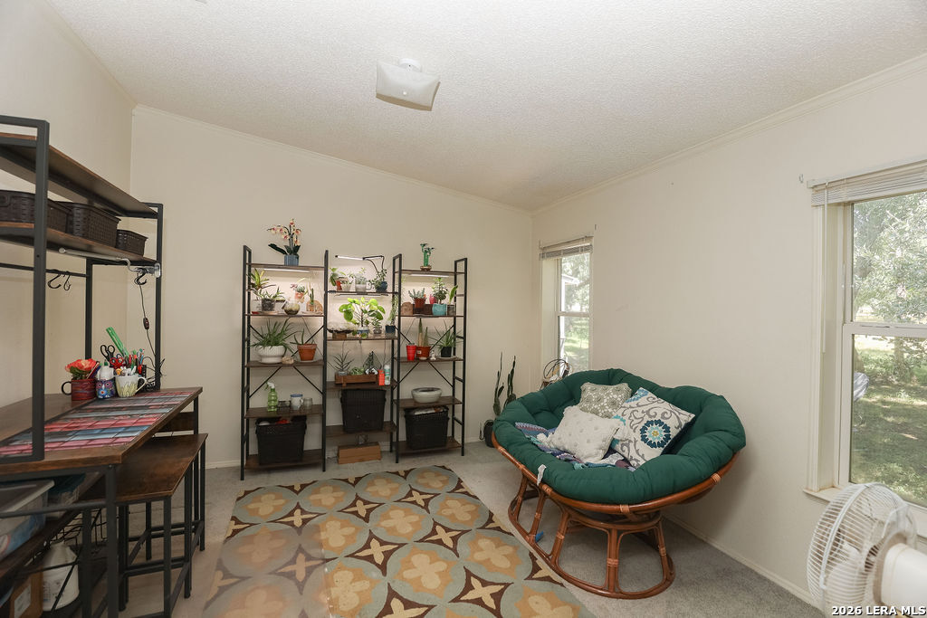 16658 N US Highway 377, London, TX 76854