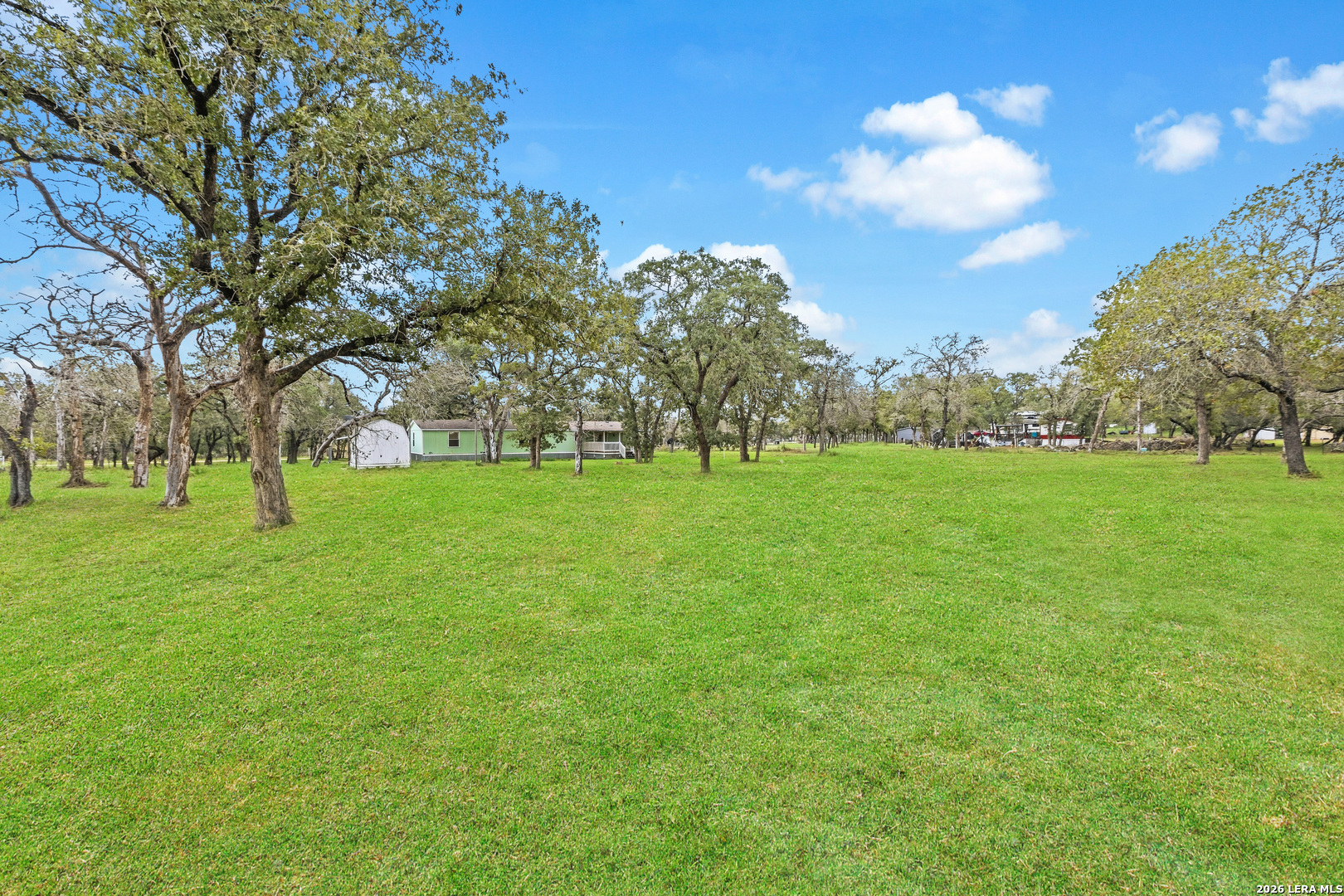 Yard/Garden