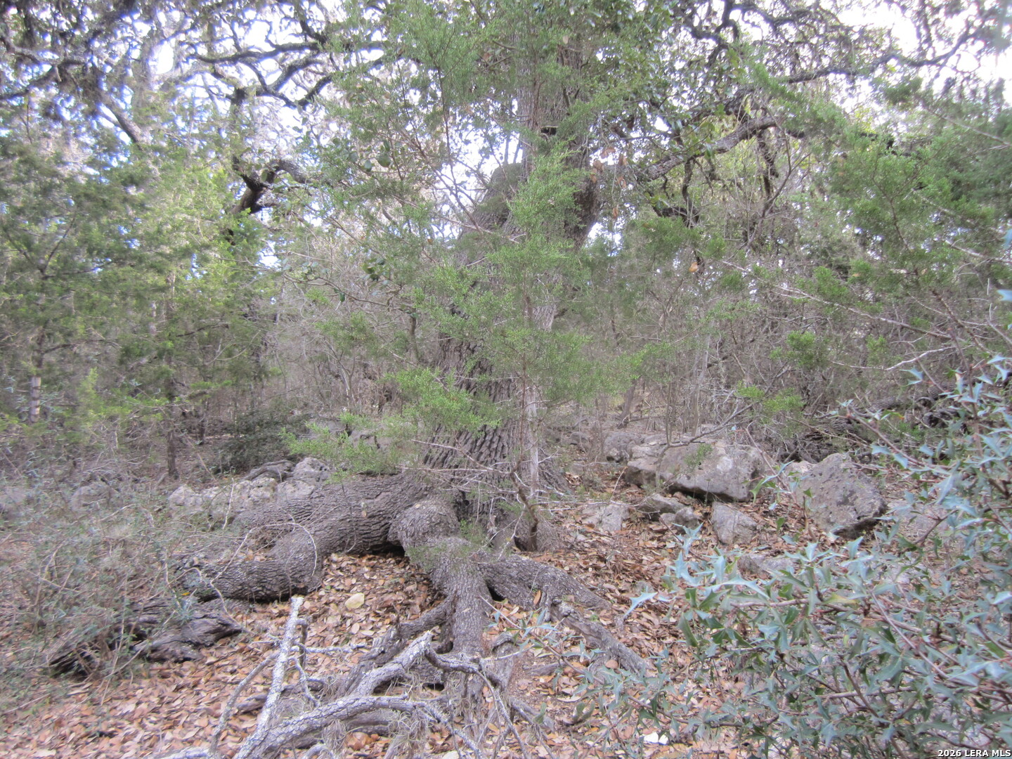 TBD 50 ACRES Wharton Dock Rd, Bandera, TX 78003