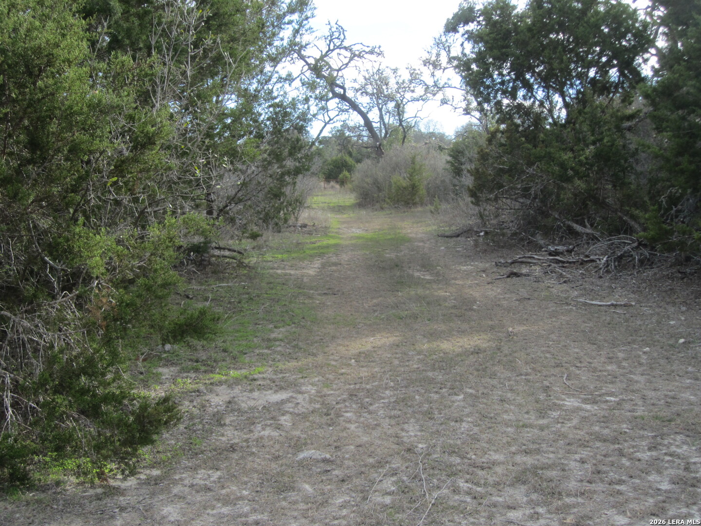 TBD 50 ACRES Wharton Dock Rd, Bandera, TX 78003