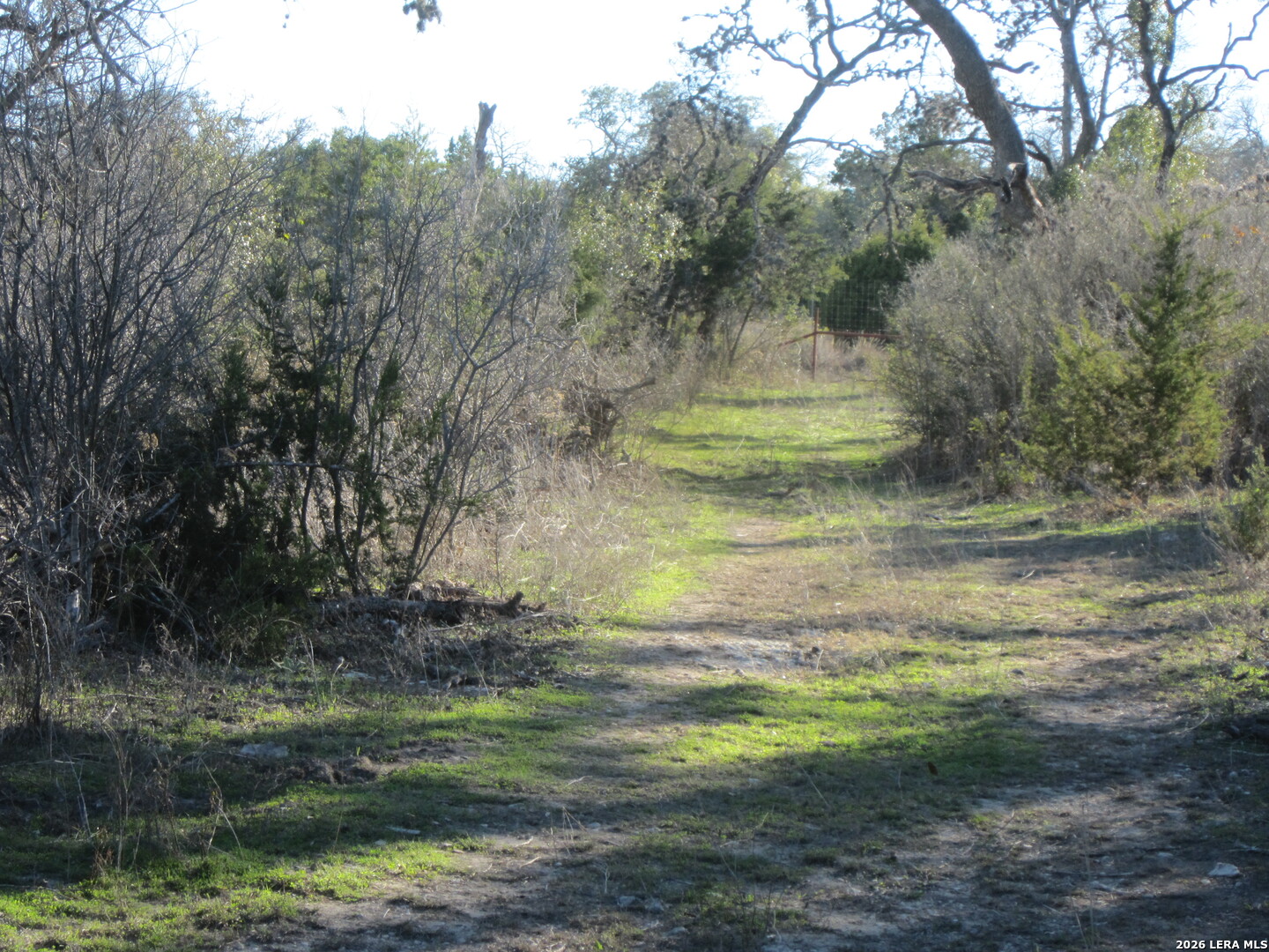TBD 50 ACRES Wharton Dock Rd, Bandera, TX 78003