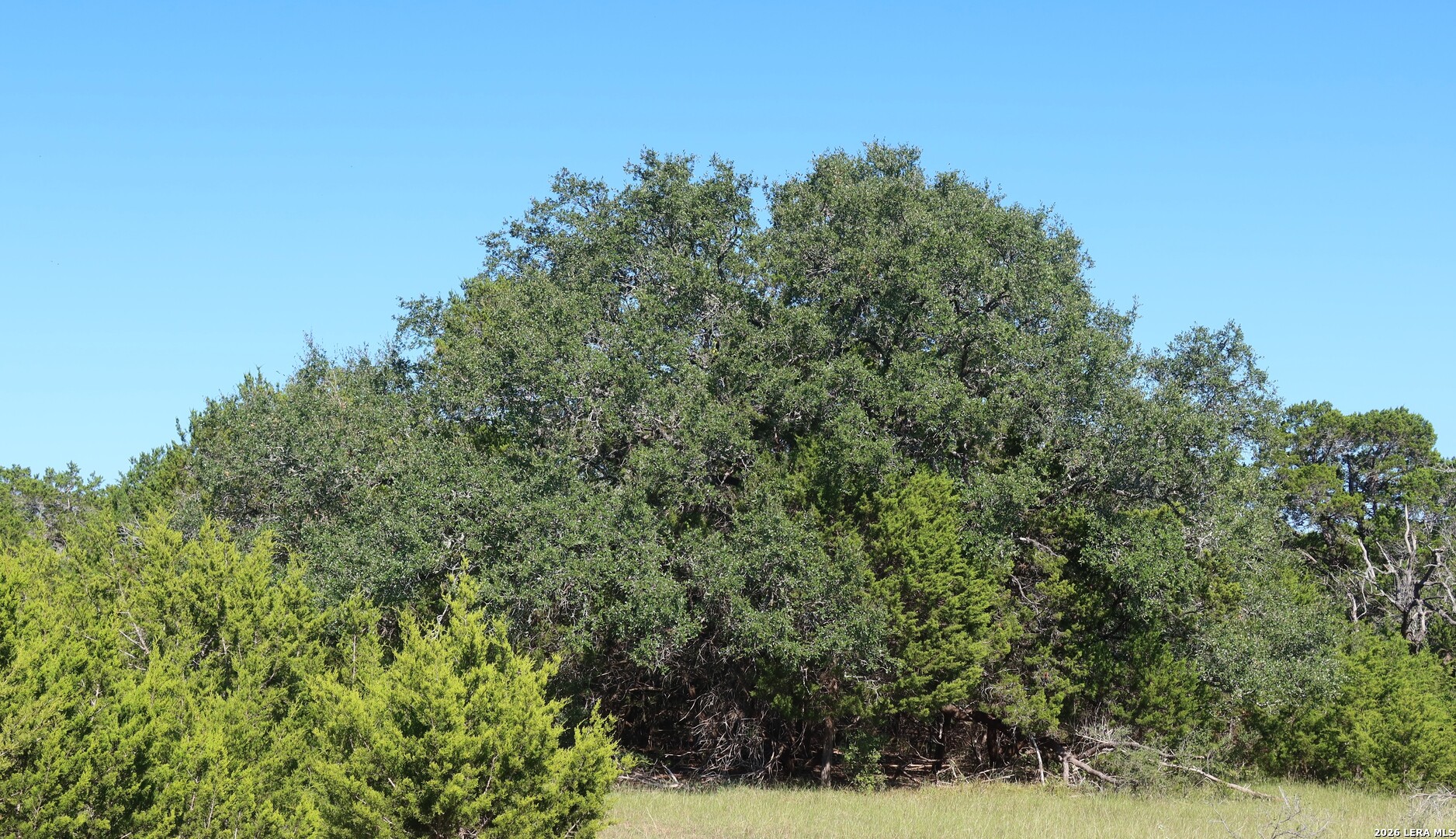 Land for sale at Tbd 50 Acres Wharton Dock Rd, Bandera, TX 78003 | MLS# 2022034