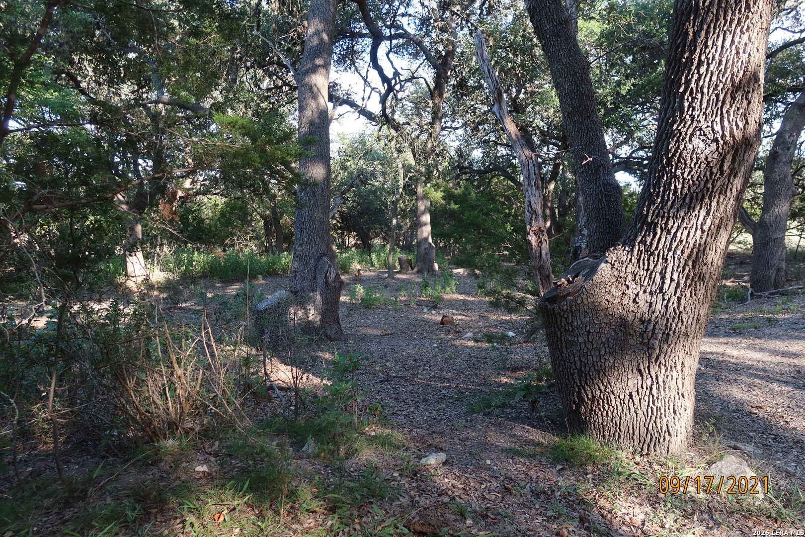 TBD 50 ACRES Wharton Dock Rd, Bandera, TX 78003