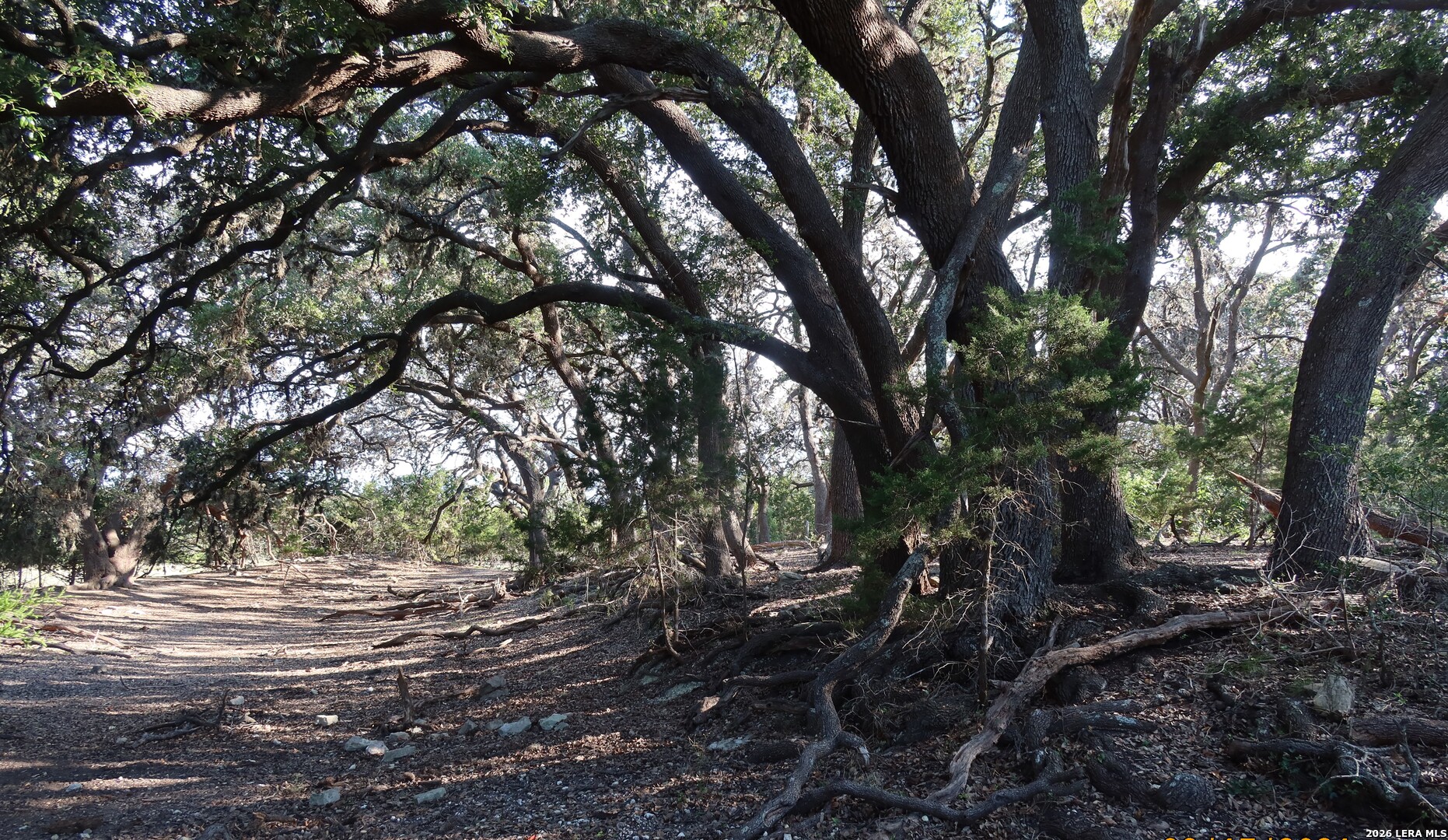 TBD 50 ACRES Wharton Dock Rd, Bandera, TX 78003
