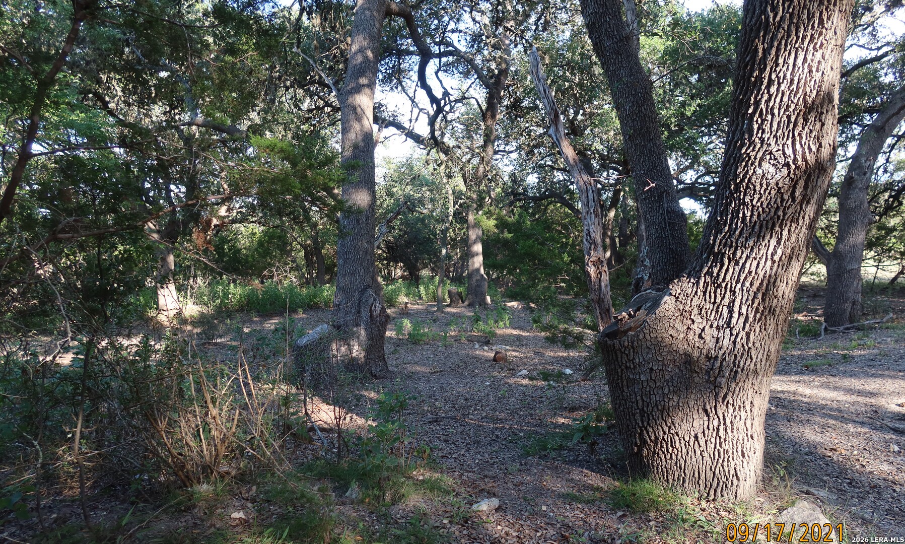 TBD 50 ACRES Wharton Dock Rd, Bandera, TX 78003