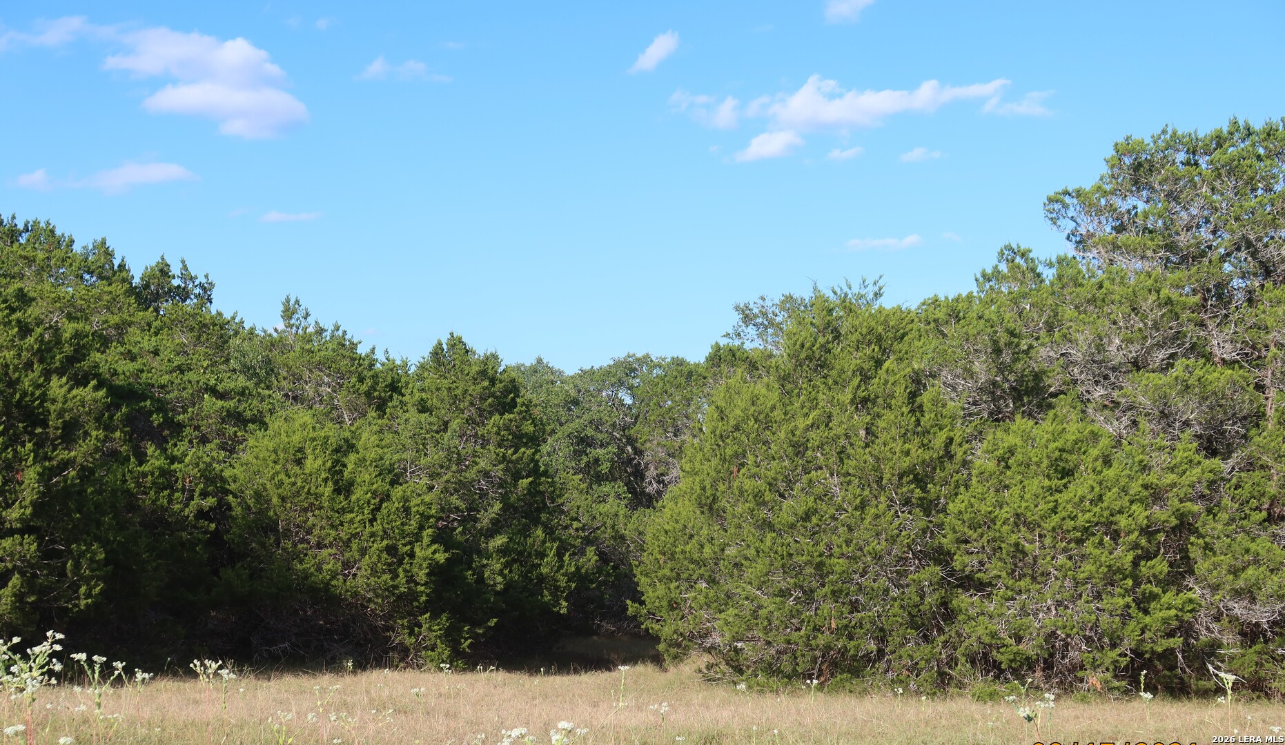 TBD 50 ACRES Wharton Dock Rd, Bandera, TX 78003