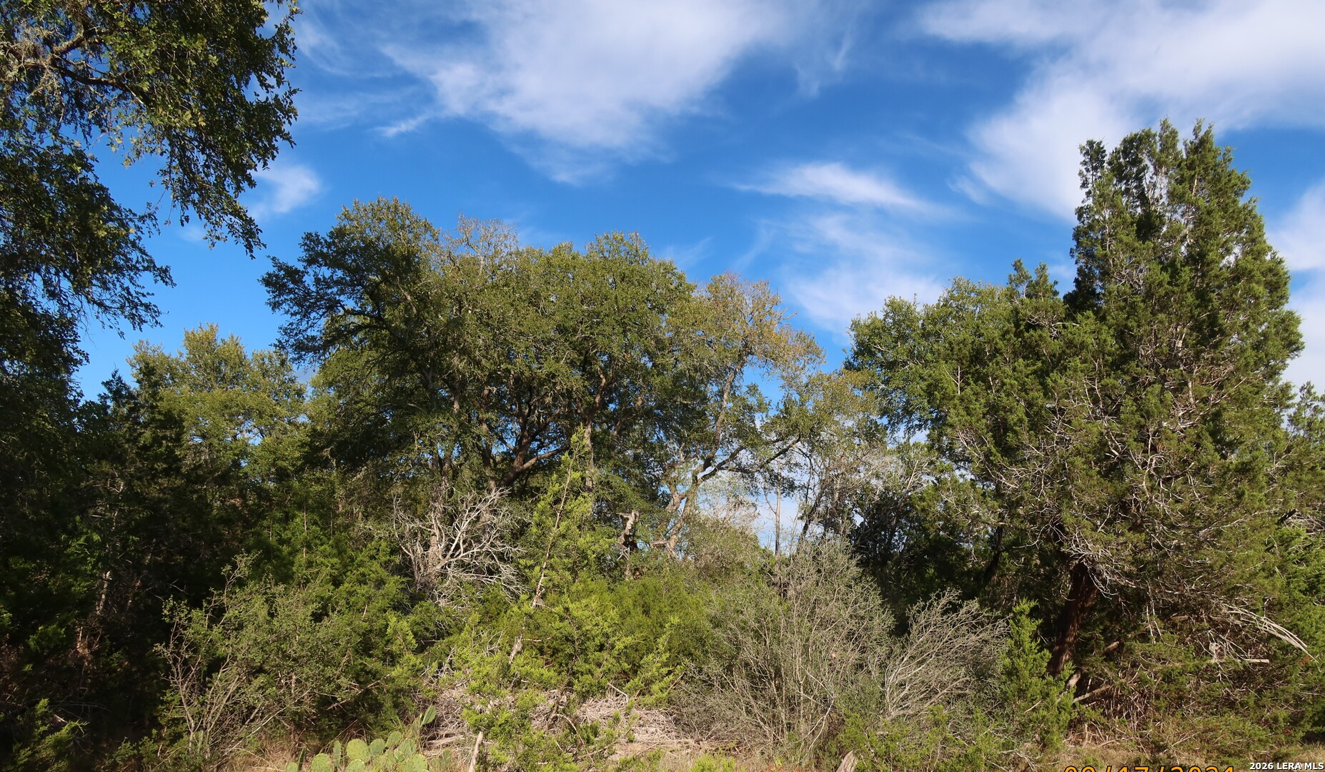 TBD 50 ACRES Wharton Dock Rd, Bandera, TX 78003