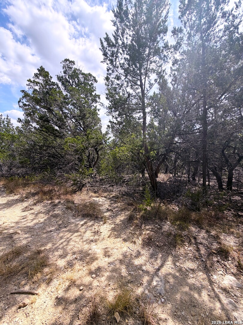 7 San Antonio, Wimberley, TX 78676