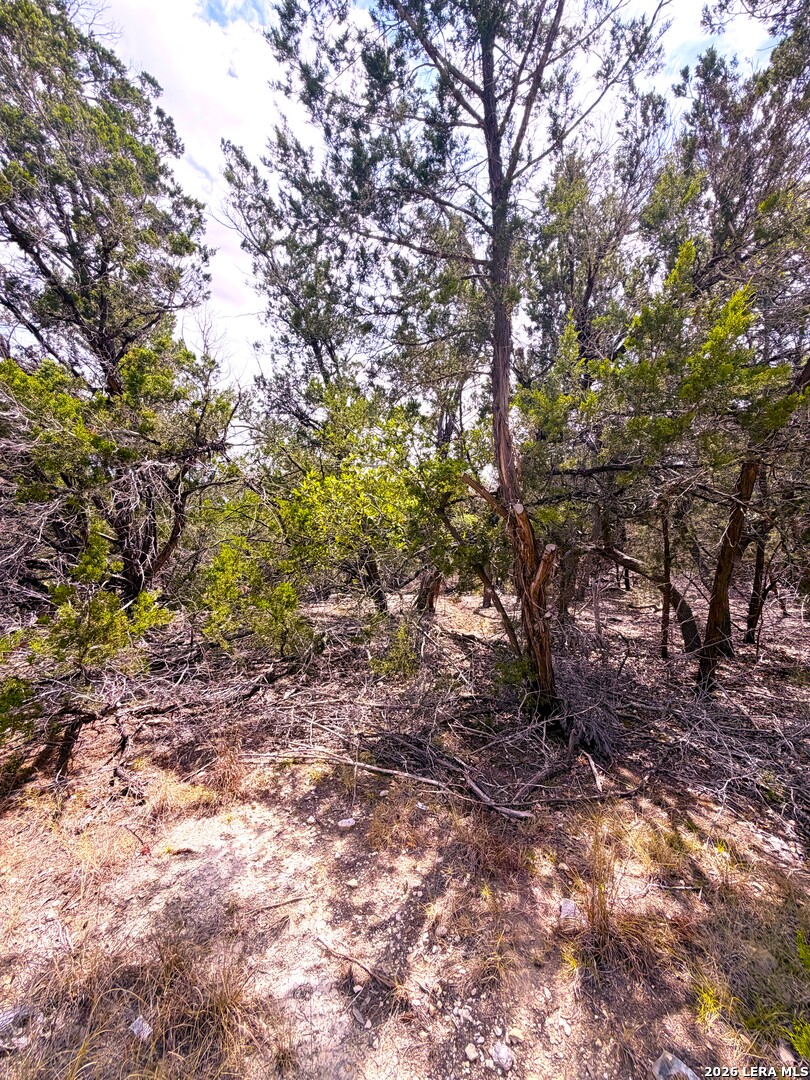 7 San Antonio, Wimberley, TX 78676