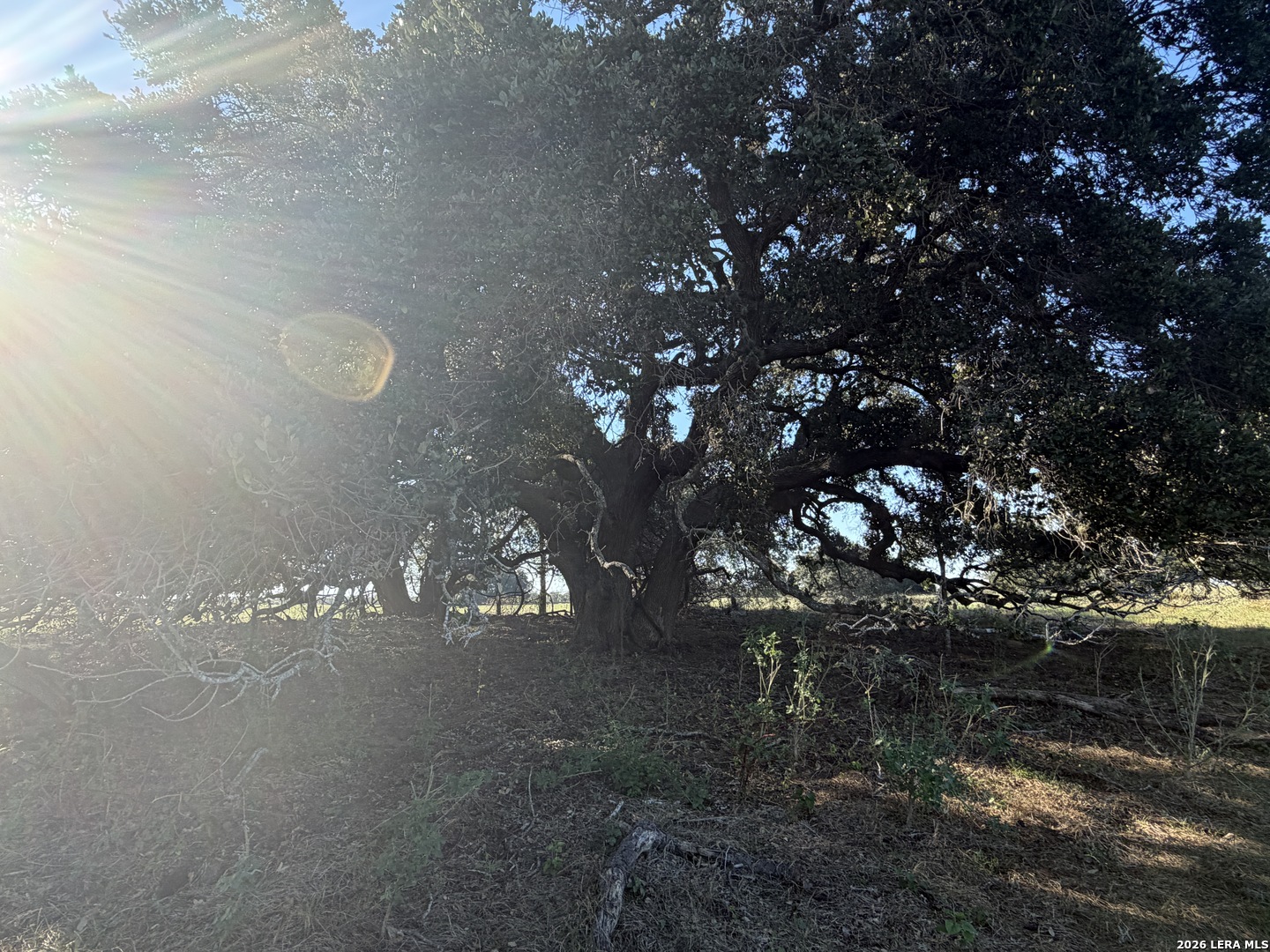 Property photo for TBD State Highway 123 S, Stockdale, TX