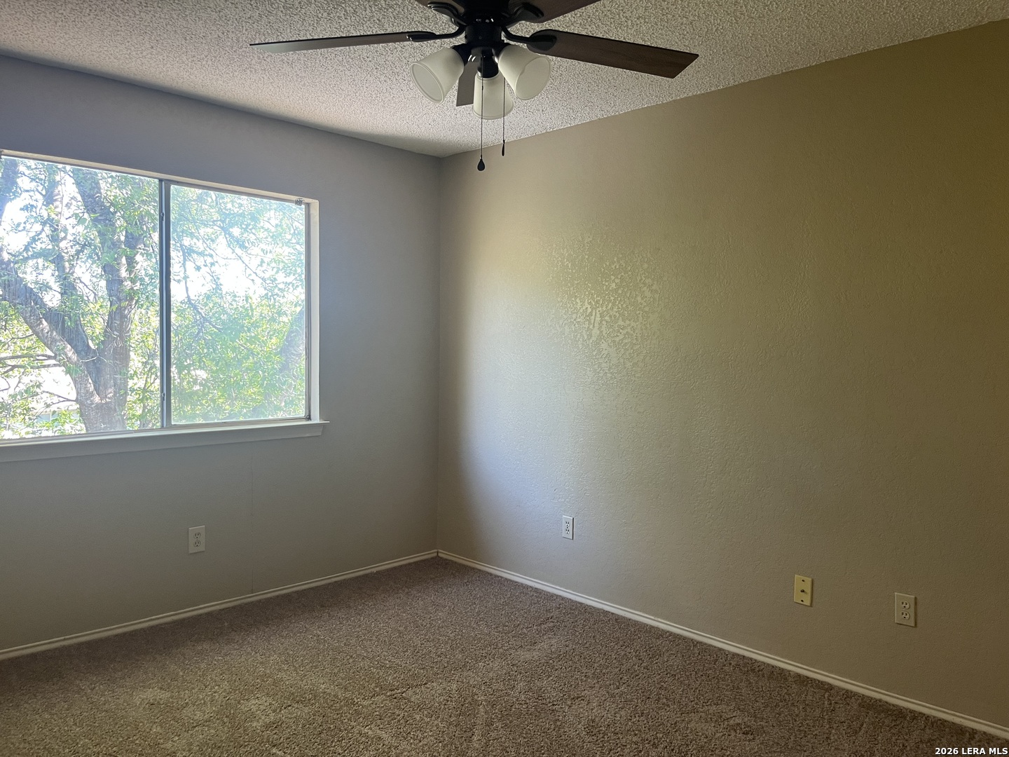 14406 Woods Hole, San Antonio, TX 78233