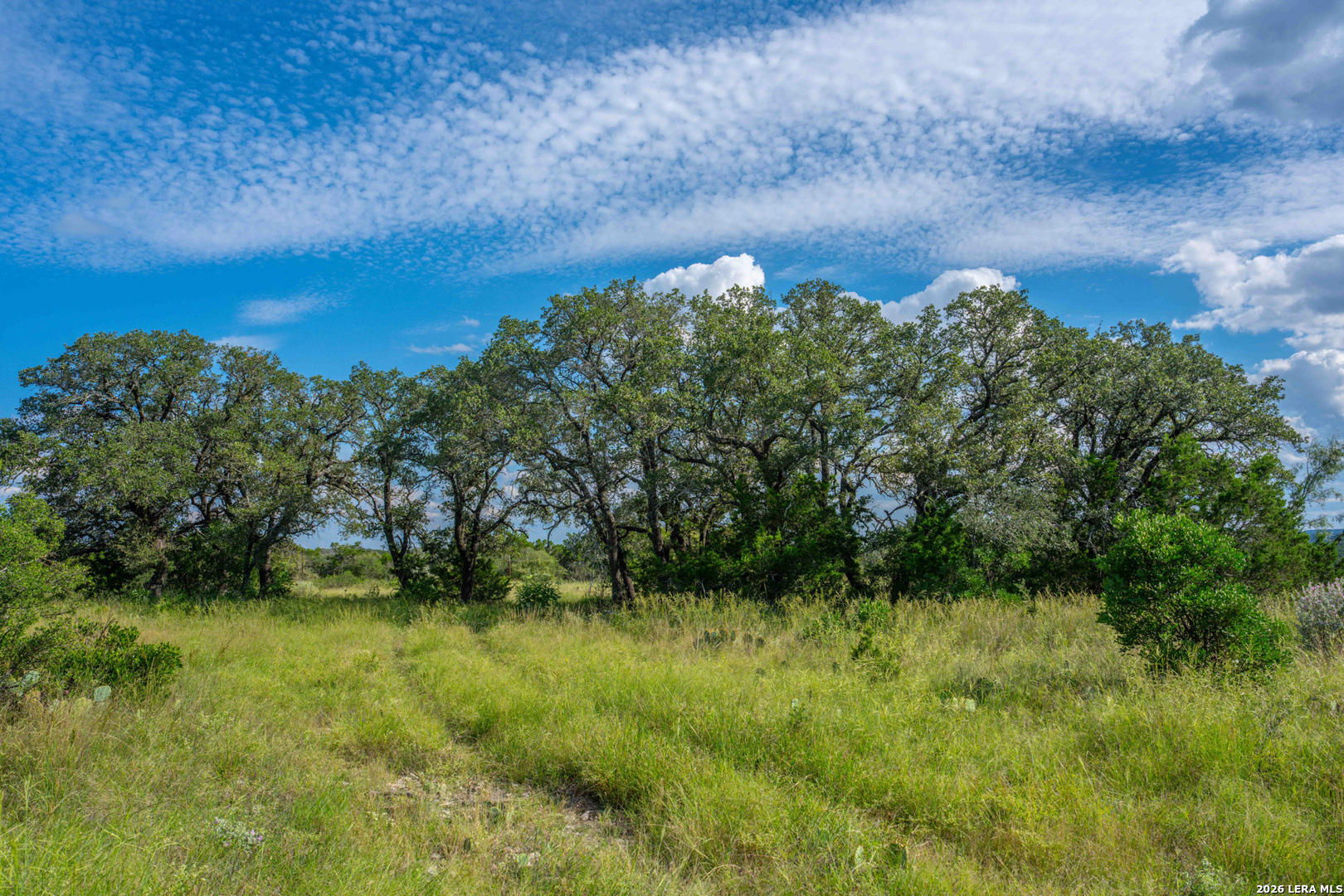 00 FM 2169, Junction, TX 76849