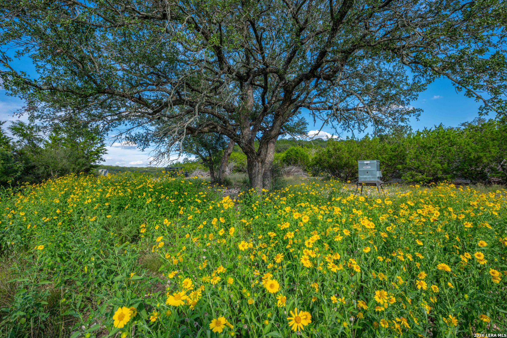 00 FM 2169, Junction, TX 76849