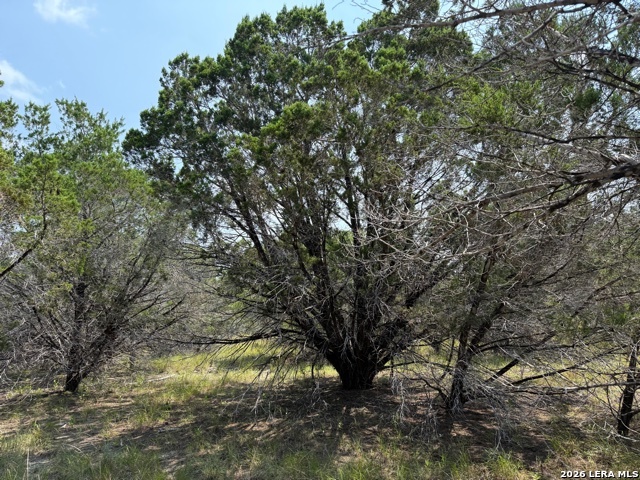 1672 Noble Trl, Canyon Lake, TX 78133
