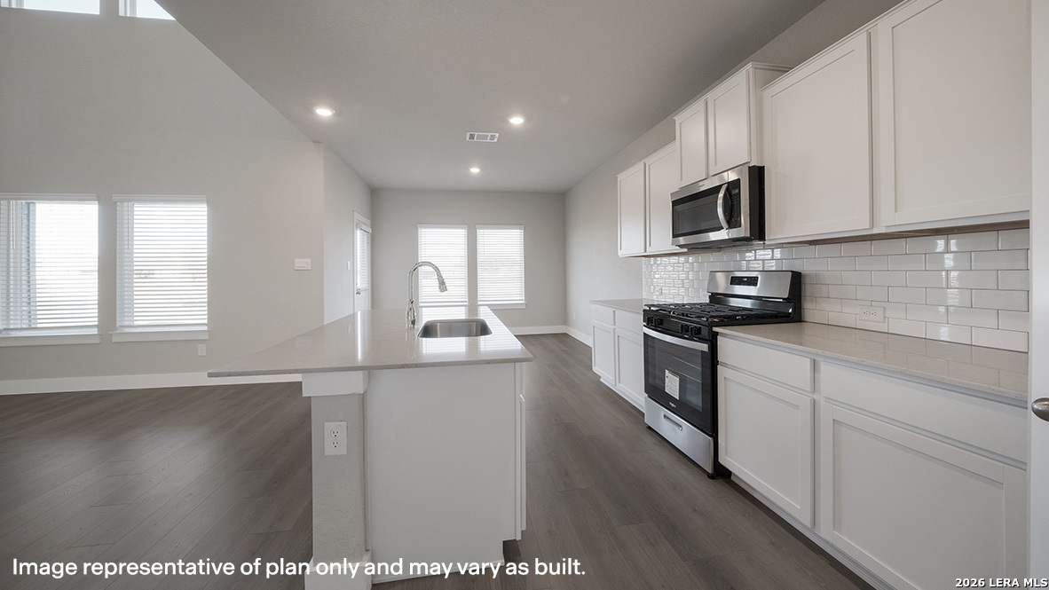 17204 Black Willow Way, Elmendorf, TX 78112