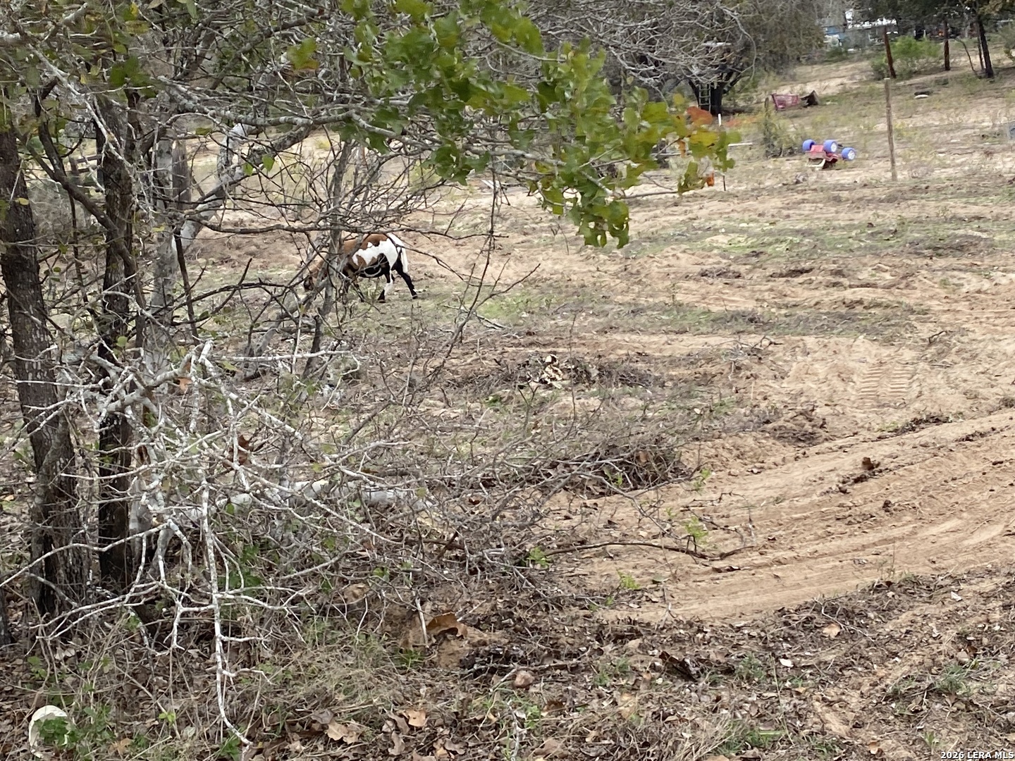 184 County Road 781, Natalia, TX 78059