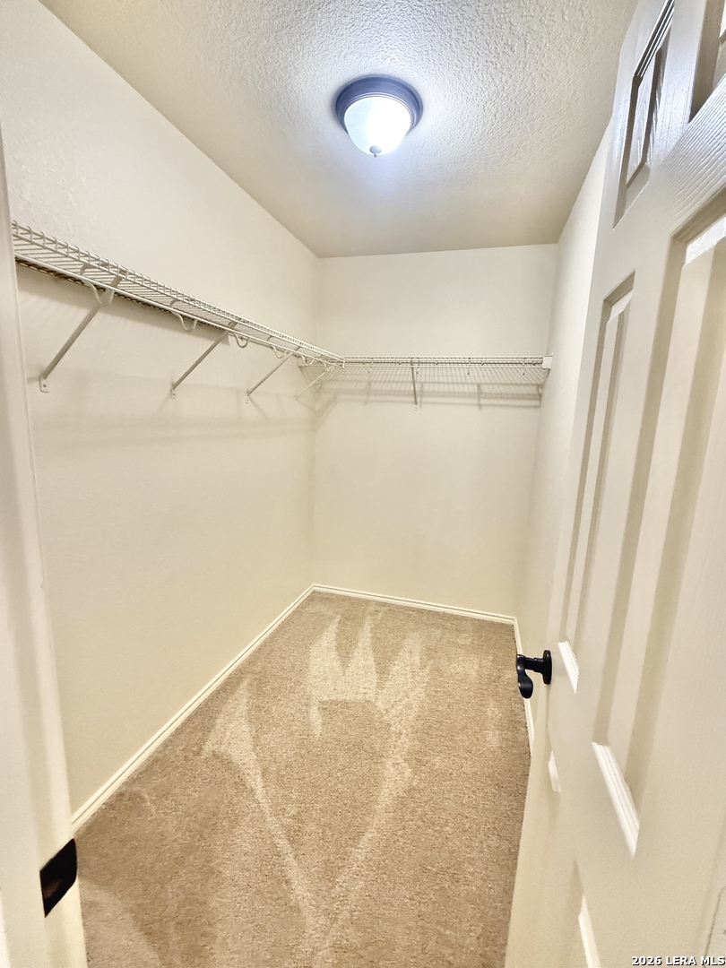 8810 Canvas Back, San Antonio, TX 78245
