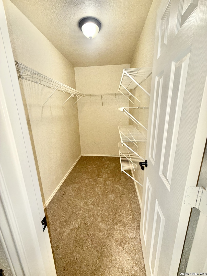 8810 Canvas Back, San Antonio, TX 78245