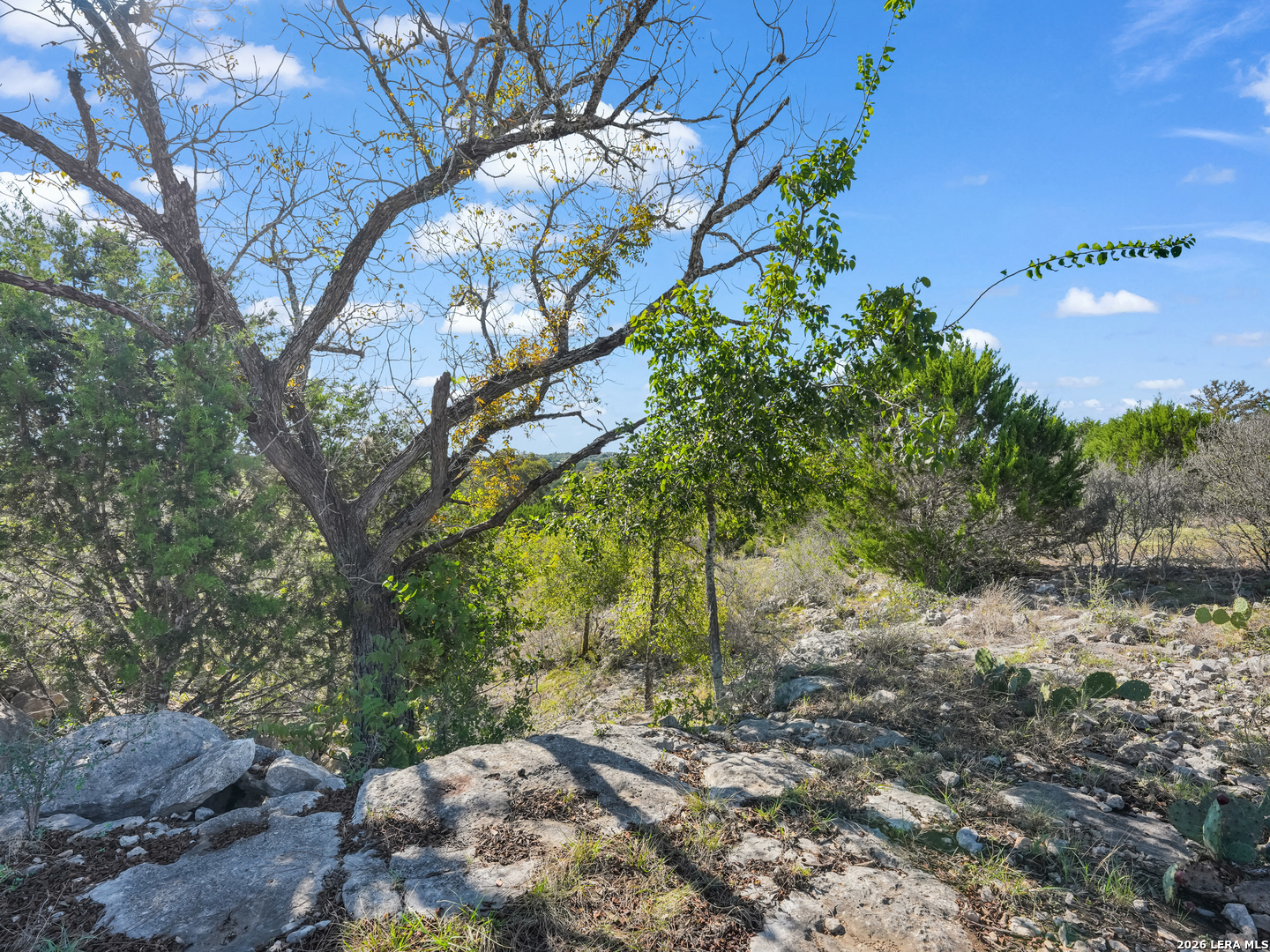 LOT 67 Sabinas Springs Rd, Boerne, TX 78006