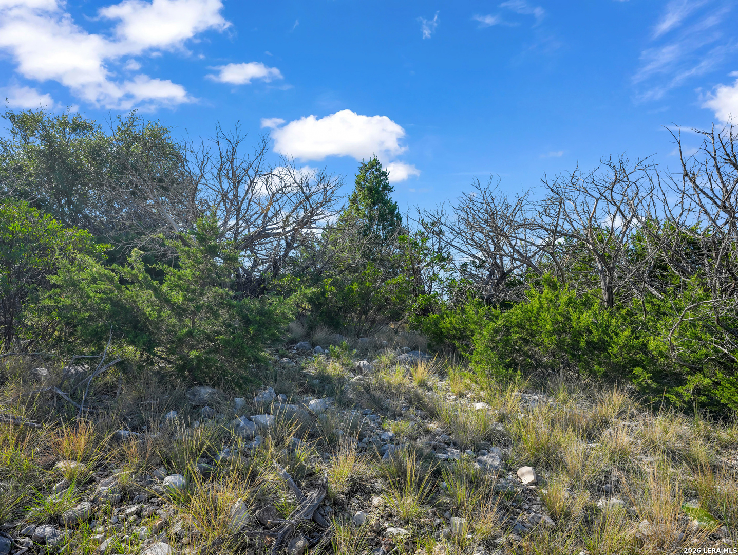 0000 Black Waterhole Ranch, Rocksprings, TX 78880