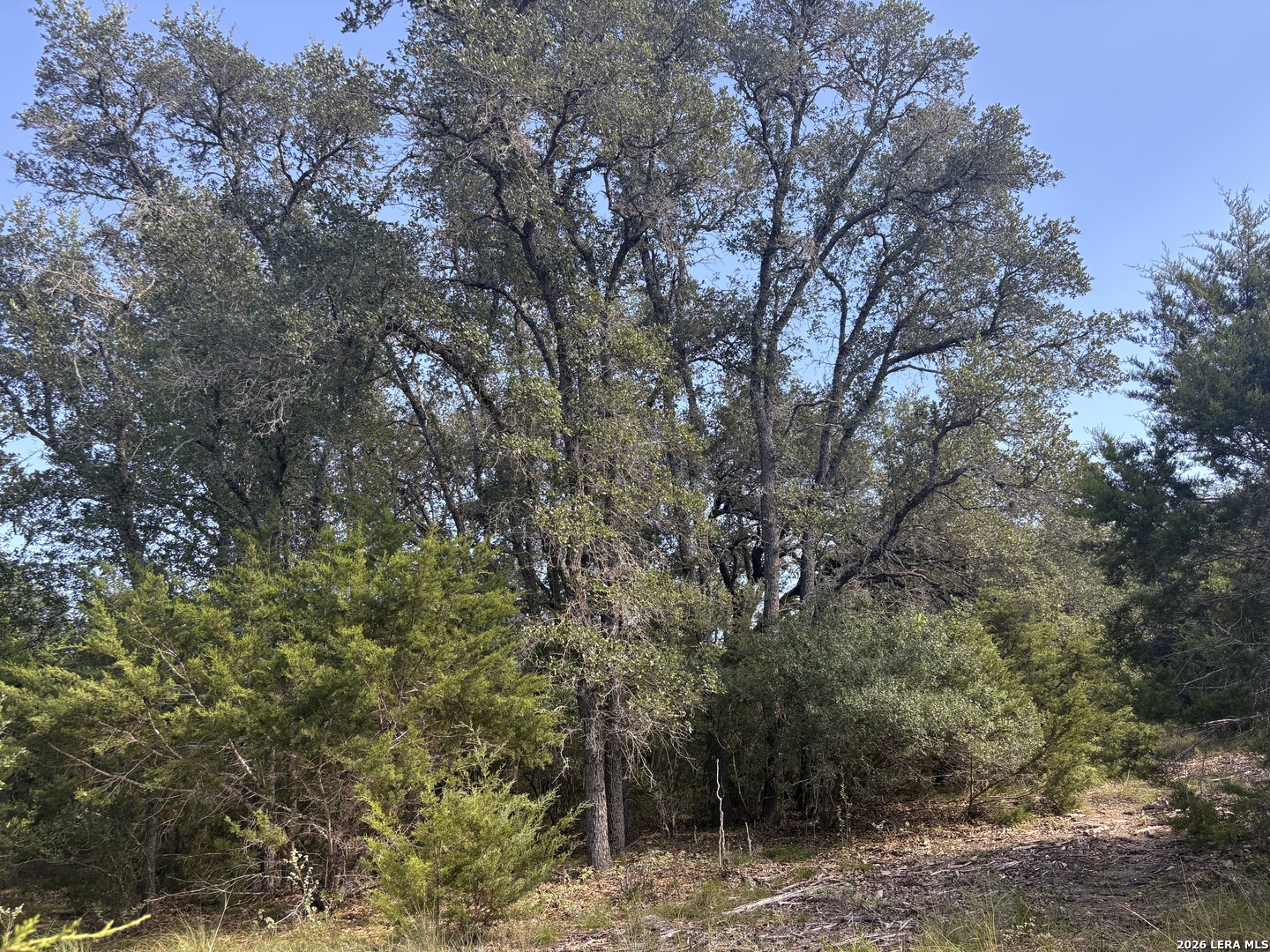 170 Lariat Trace, Bandera, TX 78003