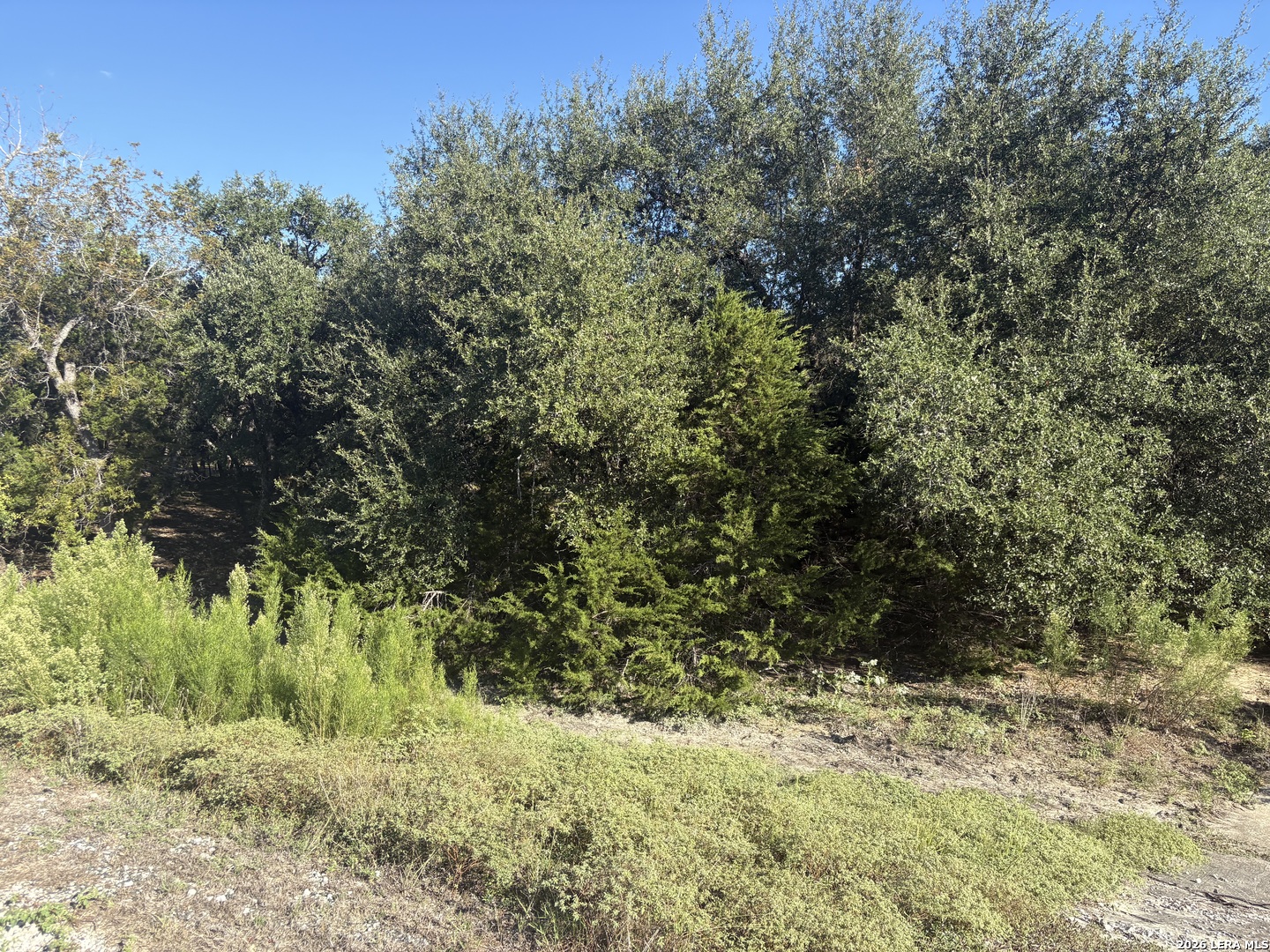 170 Lariat Trace, Bandera, TX 78003