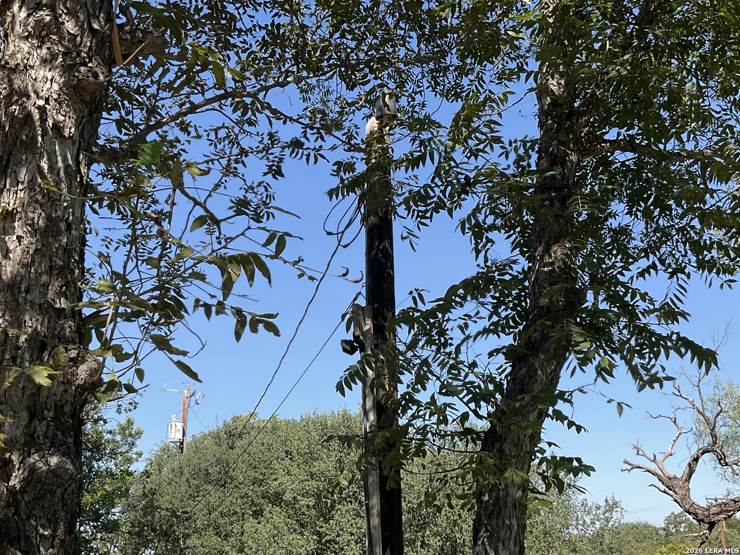 11908 Manzanita, San Antonio, TX 78245