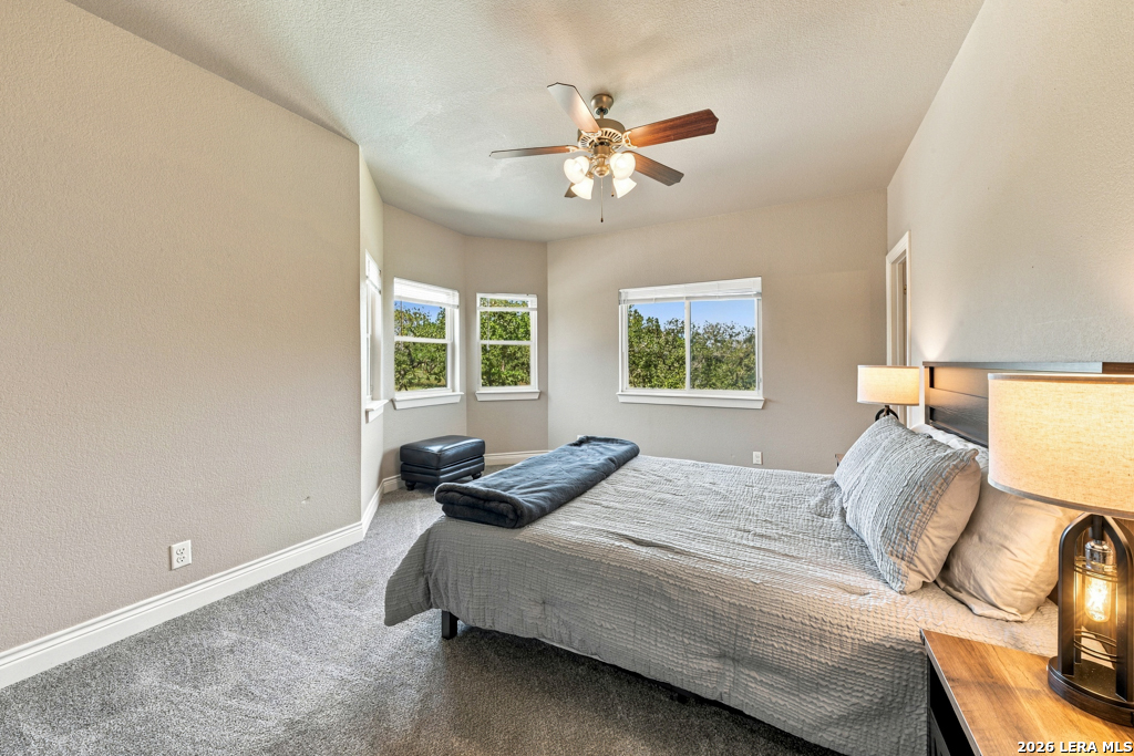 507 ENCHANTED OAK DR, La Vernia, TX 78121