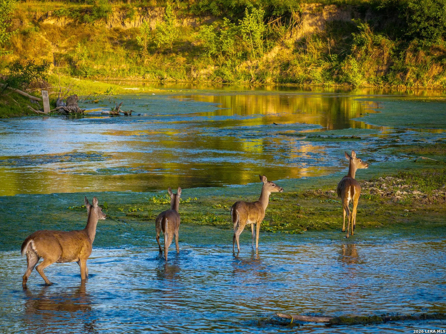 00 Alternate 90, Kingsbury, TX 78638