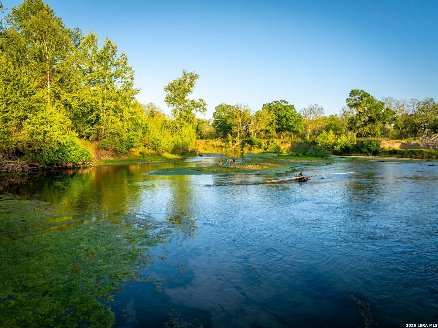 00 Alternate 90, Kingsbury, TX 78638